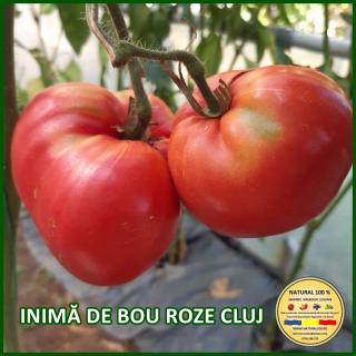 INIMA DE BOU ROZE CLUJ