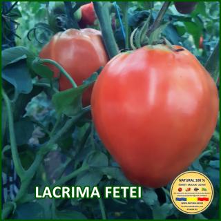 LACRIMA FETEI