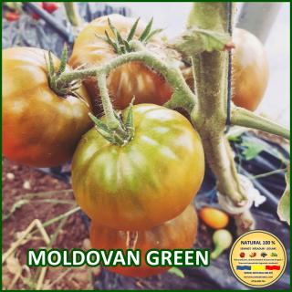 MOLDOVAN GREEN