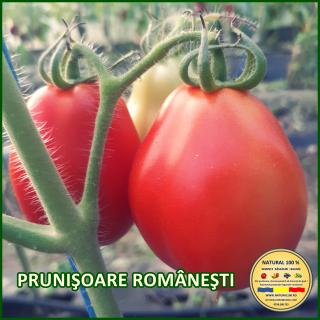 PRUNISOARE ROMANESTI