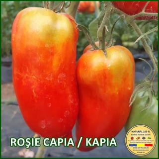 ROSIE CAPIA   KAPIA