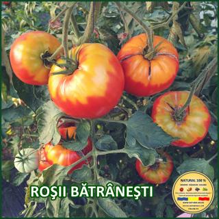 ROsII BATRANEsTI