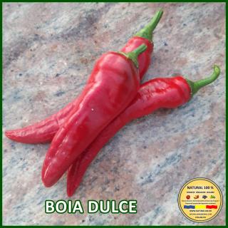 Seminte de ardei Boia Dulce