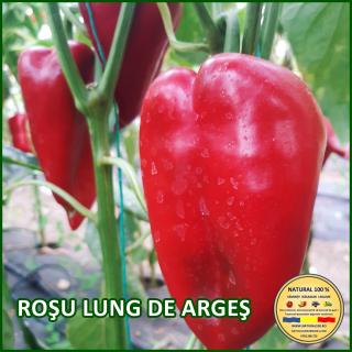 Seminte de ardei Rosu Lung de Arges