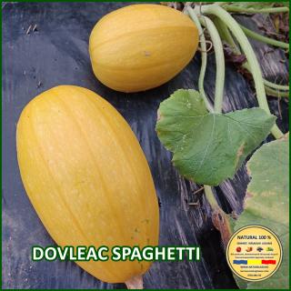 Seminte de dovleac Spaghetti