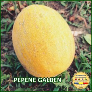 Seminte de pepene Galben