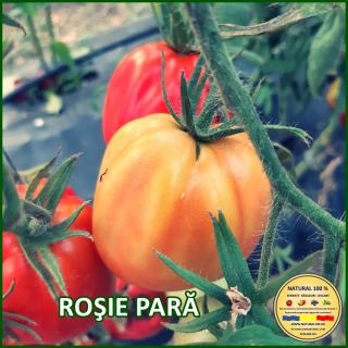 Seminte de Rosie Para