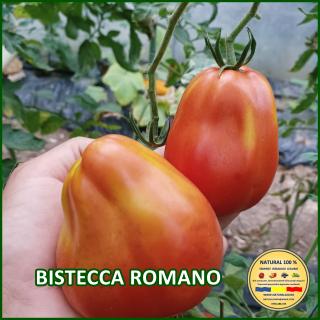 Seminte de rosii Bistecca Romano