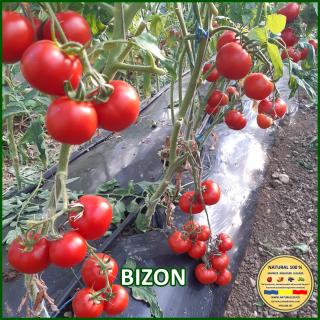 Seminte de rosii Bizon