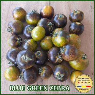 Seminte de rosii Blue Green Zebra