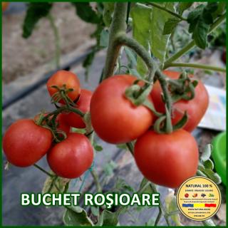 Seminte de rosii Buchet Rosioare
