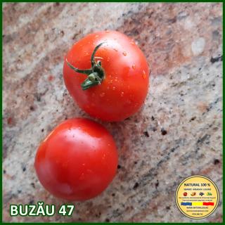 Seminte de rosii Buzau 47