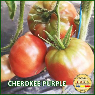 Seminte de rosii Cherokee Purple