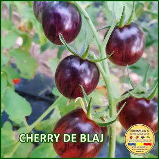 Seminte de rosii Cherry de Blaj