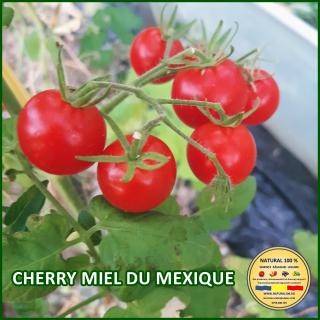 Seminte de rosii Cherry Miel Du Mexique