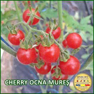 Seminte de rosii Cherry Ocna Mures