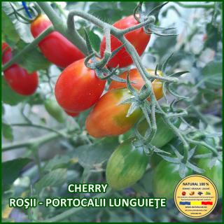 Seminte de rosii Cherry Rosii - Portocalii Lunguiete