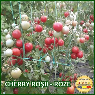 Seminte de rosii Cherry Rosii - Roze