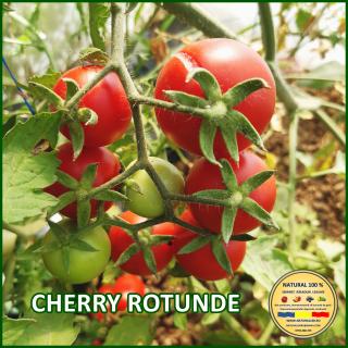 Seminte de rosii Cherry Rotunde