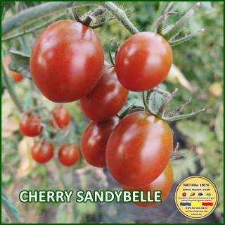 Seminte de rosii Cherry Sandybelle