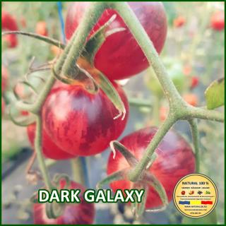 Seminte de rosii Dark Galaxy