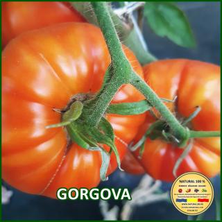 Seminte de rosii Gorgova