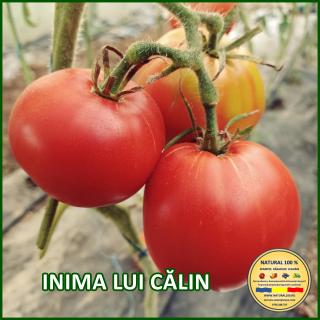 Seminte de rosii Inima Lui Calin