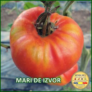 Seminte de rosii Mari de Izvor