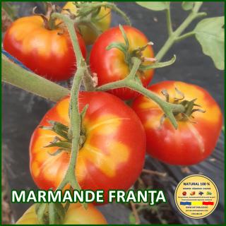 Seminte de rosii Marmande Franta