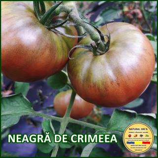 Seminte de rosii Neagra de Crimeea