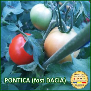 Seminte de rosii Pontica (Fost Dacia)