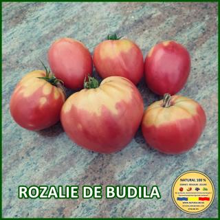 Seminte de rosii Rozalie de Budila