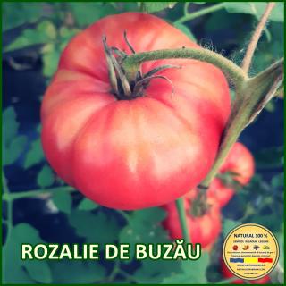 Seminte de rosii Rozalie de Buzau