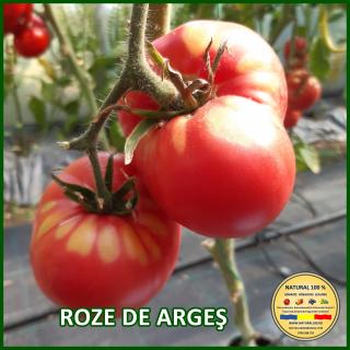 Seminte de rosii Roze de Arges