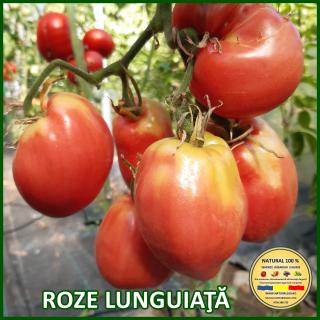 Seminte de rosii Roze Lunguiata