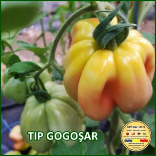 Seminte de rosii Tip Gogosar