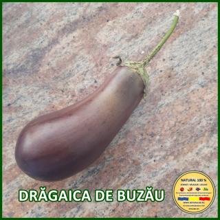 Seminte de vinete Dragaica de Buzau