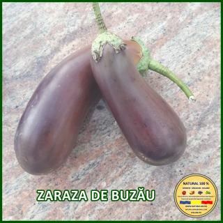 Seminte de vinete Zaraza de Buzau