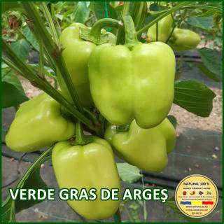 VERDE GRAS DE ARGES