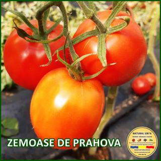 ZEMOASE DE PRAHOVA