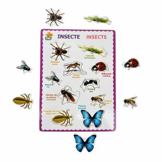 Puzzle incastru din lemn bilingv romana-engleza Insecte