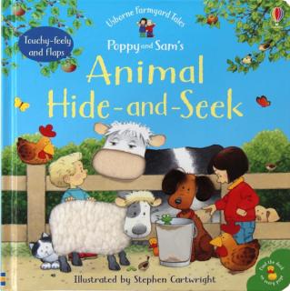 Animal Hide And Seek Touchy Feely