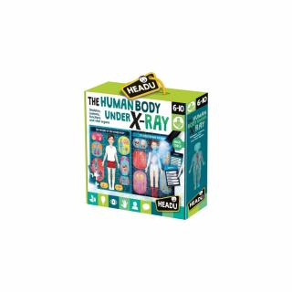 Headu Stem - Puzzle Radiografia Corpului Uman