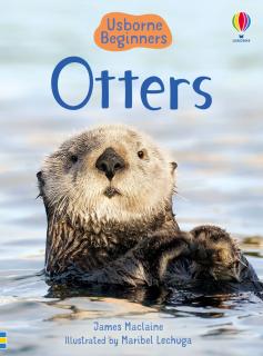 Otters Beginners