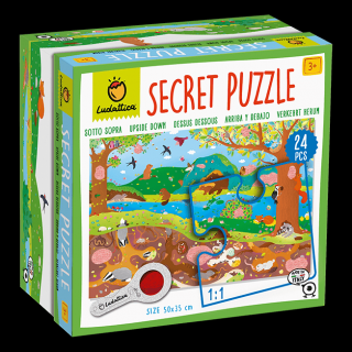 SECRET PUZZLE ,   Mediul Inconjurator