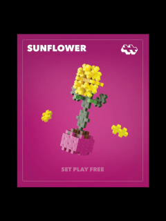 Set constructie Plus-Plus, PLANTE - Floarea soarelui