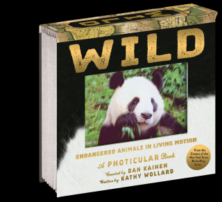 Wild: Endangered Animals in Living Motion,  A Photicular Book, Dan Kainen