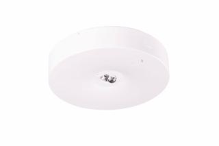 Lampa antipanica pentru centrala baterii, aparenta, 4W, test prin centrala de baterii, lentile spatii deschise, Intelight 91760