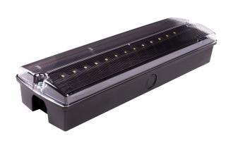 Lampa exit IP65, functionare mentinut, autonomie 3h, cu test manual, 8W, 5000K, Intelight 89205