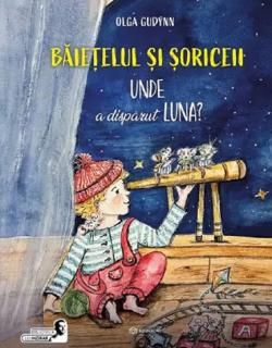 Baietelul si soriceii